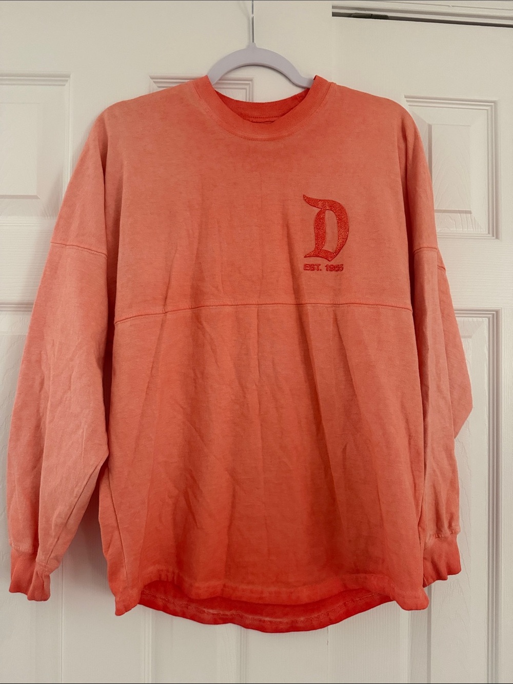 Disneyland Ariel’s Grotto spirit jersey